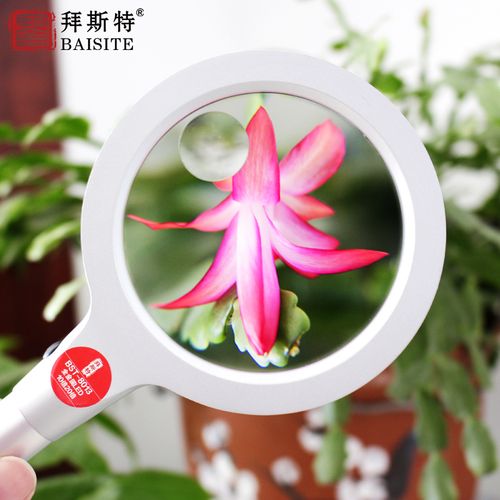 拜斯特LED手持放大镜 10倍/20倍光学扩大的便携之选